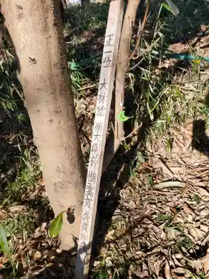 大林稲荷大明神(群馬県)