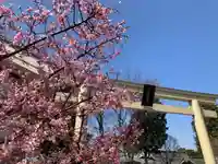 阿豆佐味天神社 立川水天宮の鳥居