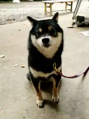 上目黒氷川神社(東京都)
