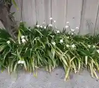 西方山極楽寺(岐阜県)