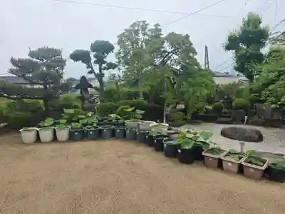 極楽寺(大阪府)
