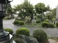 道善寺の建物その他