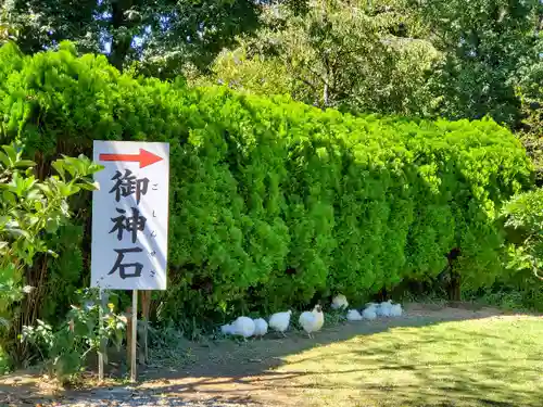 高屋敷稲荷神社の動物