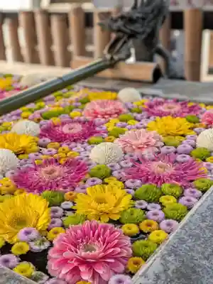 高円寺氷川神社(東京都)