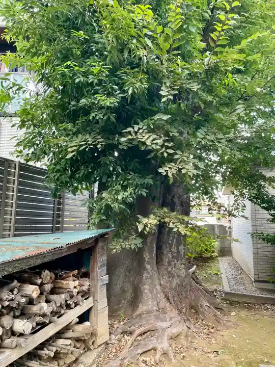 中田出世稲荷神社(東京都)