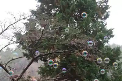 高司神社〜むすびの神の鎮まる社〜の授与品その他