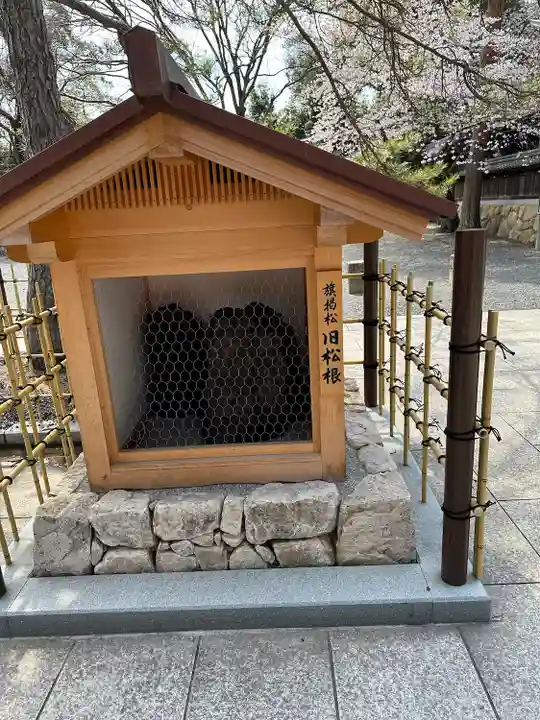 氣比神宮(福井県)