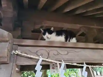 雀神社の動物