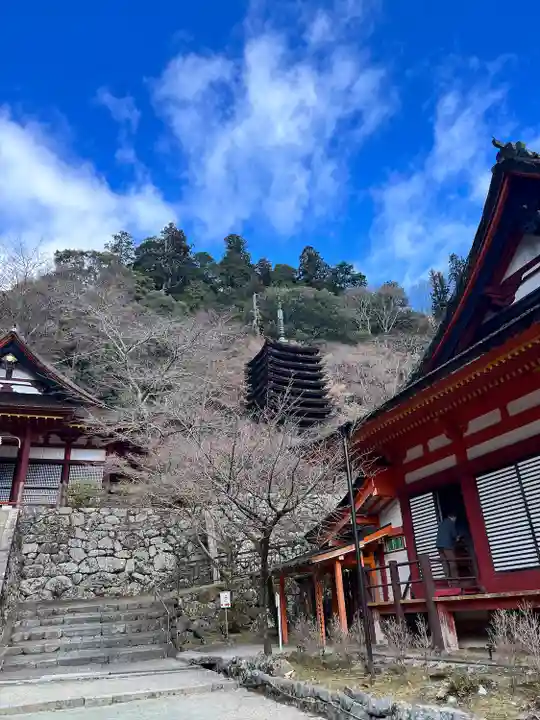 談山神社(奈良県)