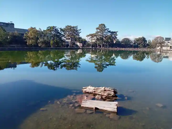興福寺(奈良県)