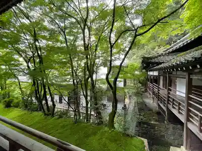 禅林寺(永観堂)(京都府)