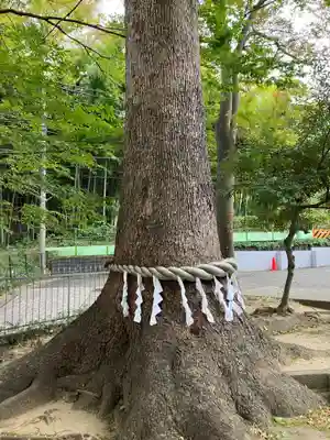 久地神社(神奈川県)