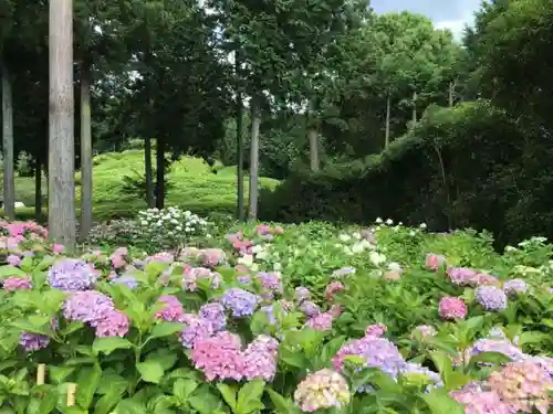 三室戸寺の自然