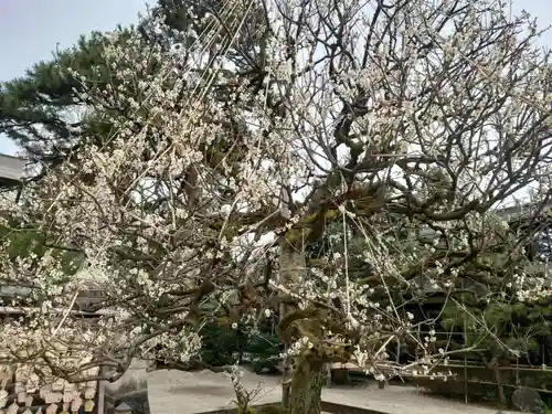 射水神社の庭園