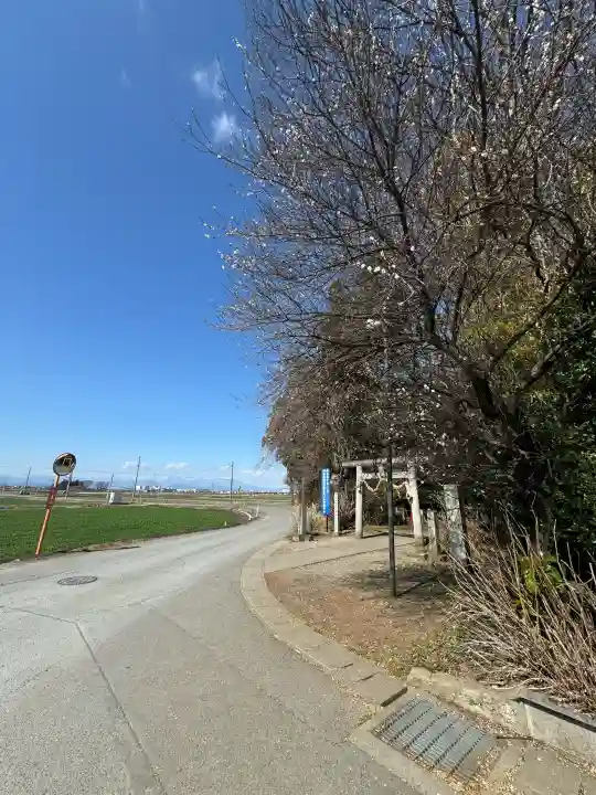 下野 星宮神社の{uncategorized: "未分類", other: "その他", undefined: "問題あり", building: "その他建物", grave: "お墓", sacred_gate: "鳥居", guardian: "狛犬", statue: "像", buddha: "仏像", history: "歴史", nature: "自然", garden: "庭園", animal: "動物", pagoda: "塔", temizu: "手水舎", mountain_gate: "山門・神門", sanctuary: "本殿・本堂", subordinate: "末社・摂社", art: "芸術", scenery: "景色", jizo: "地蔵", ema: "絵馬", goshuin: "御朱印", omikuji: "おみくじ", items: "授与品その他", amulet: "お守り", goshuincho: "御朱印帳", eats: "食事", festival: "お祭り", votive_dance: "神楽", shichigosan: "七五三参", wedding: "結婚式", experience: "体験その他", initially: "初詣", around: "周辺", anti_infection: "感染症対策"}