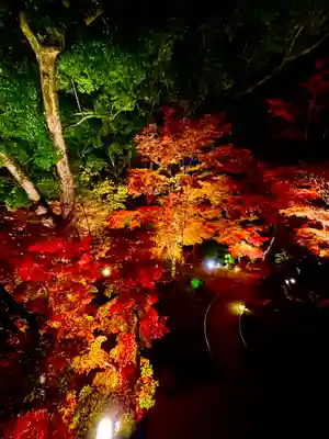 宝満宮竈門神社(福岡県)