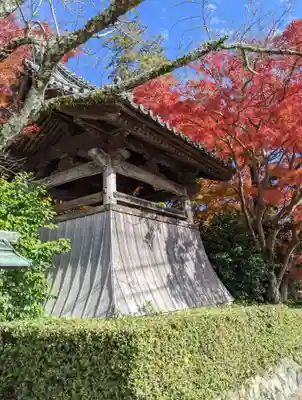 高鴨神社(奈良県)