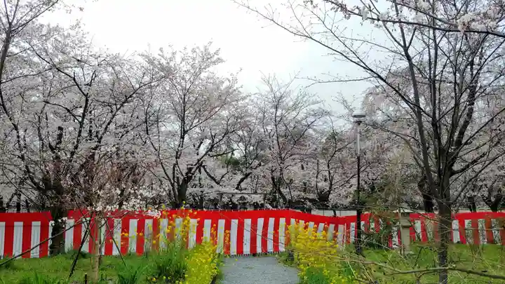 平野神社の自然
