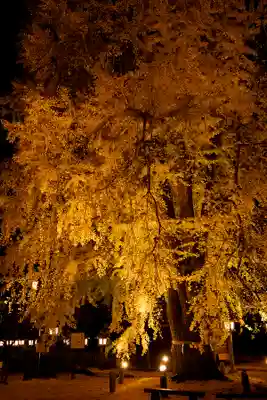 今宮神社(栃木県)