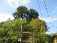 熊野神社(埼玉県)