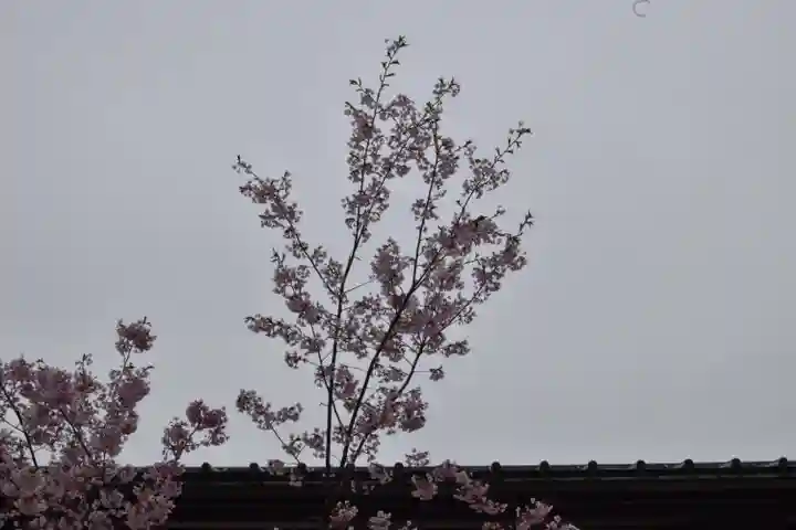 豊国神社の自然