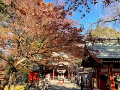 冠稲荷神社のその他建物