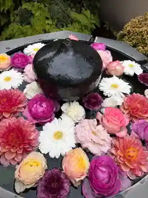 神楽坂安養寺(東京都)