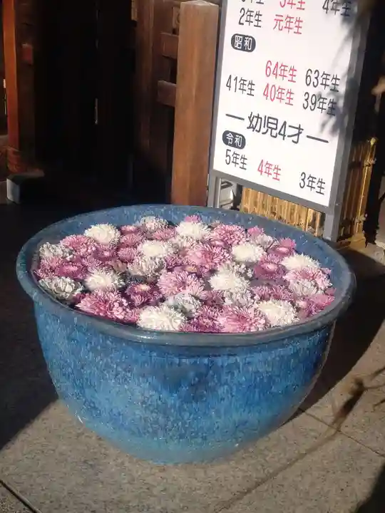 行田八幡神社(埼玉県)