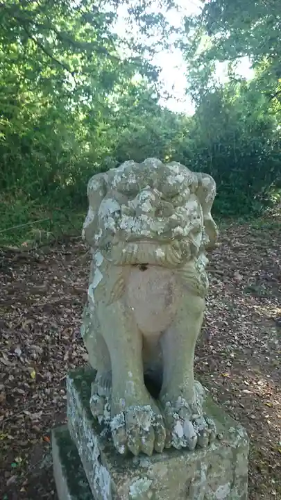 白幡神社の狛犬