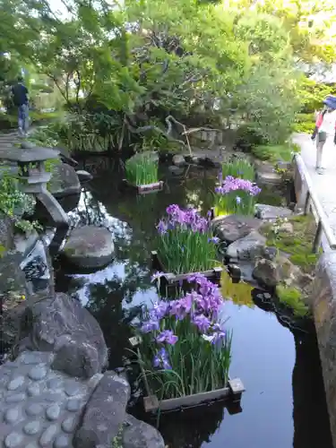 長谷寺(神奈川県)