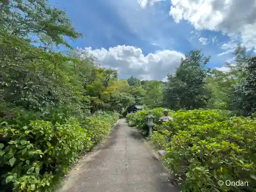 観音寺(京都府)