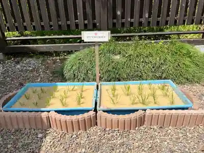 羽生天神社(宮城県)