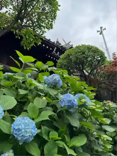 白山神社(東京都)