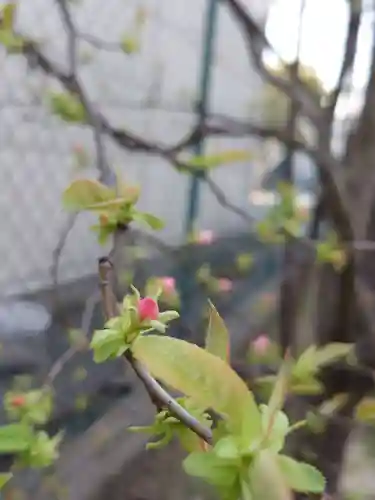 七宮神社(兵庫県)