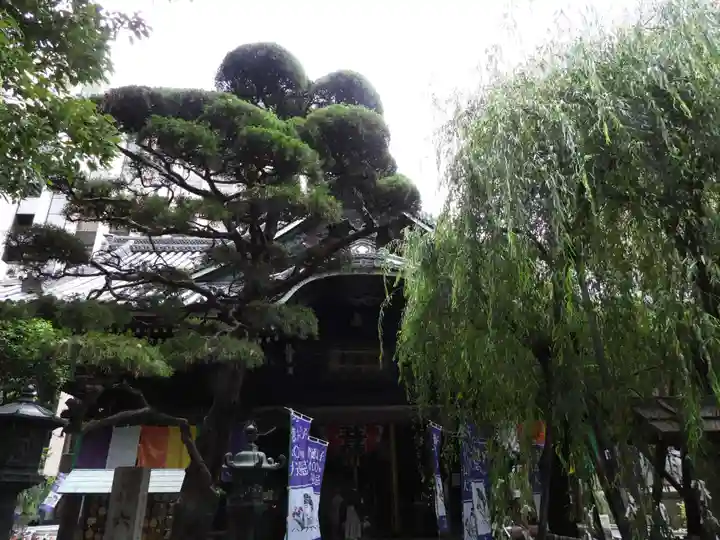 頂法寺(六角堂)(京都府)