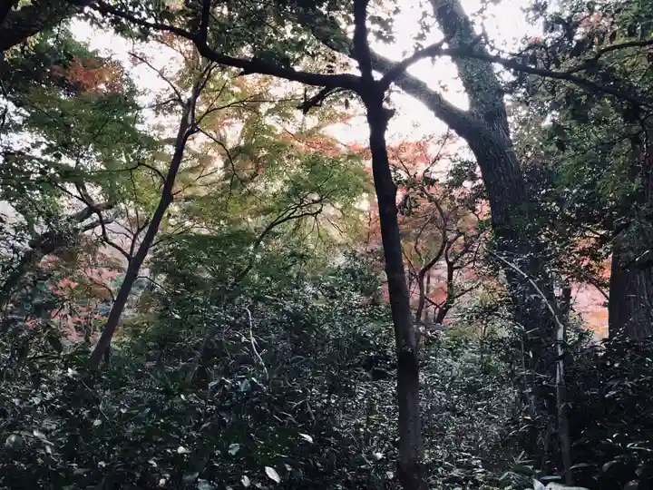 明治神宮(東京都)