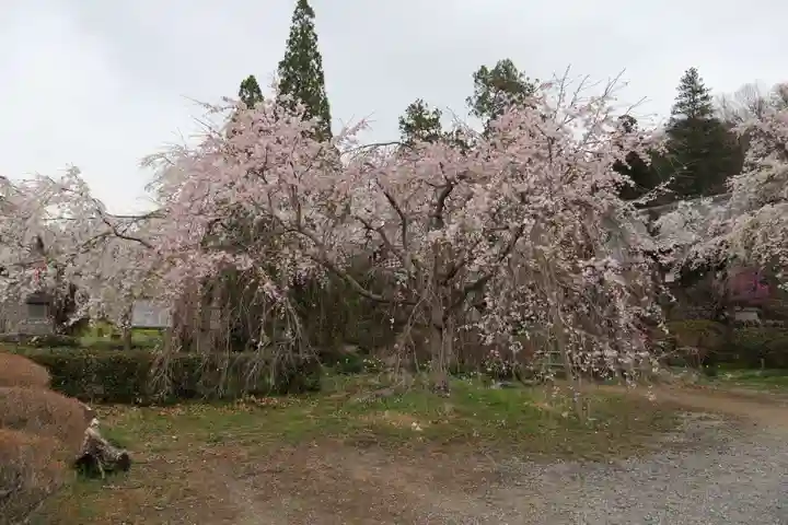 法善寺(埼玉県)