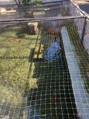 宝城坊のその他建物