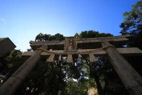 美保神社の鳥居