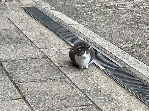 伏見稲荷大社の動物