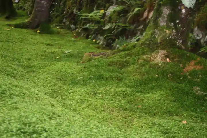 三千院門跡(京都府)