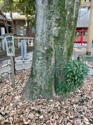 橋本大鷲神社(神奈川県)