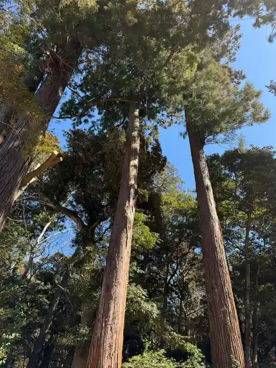 鹿島神宮(茨城県)
