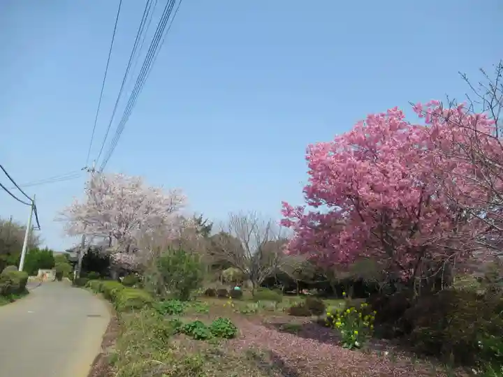 真光寺(千葉県)