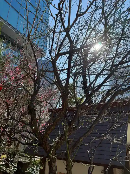 六本木天祖神社(東京都)