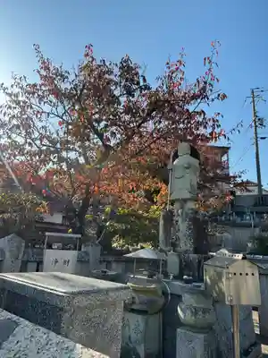 遍照寺(兵庫県)