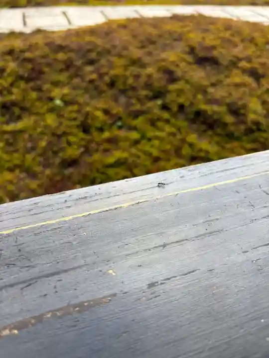 西来院(京都府)