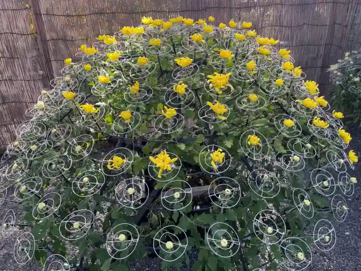 亀戸天神社のその他建物