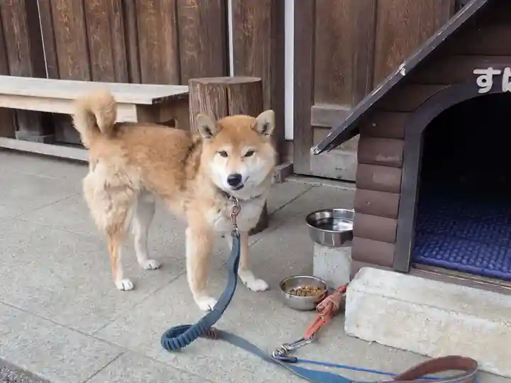 感通寺(東京都)
