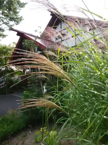 多賀神社の自然